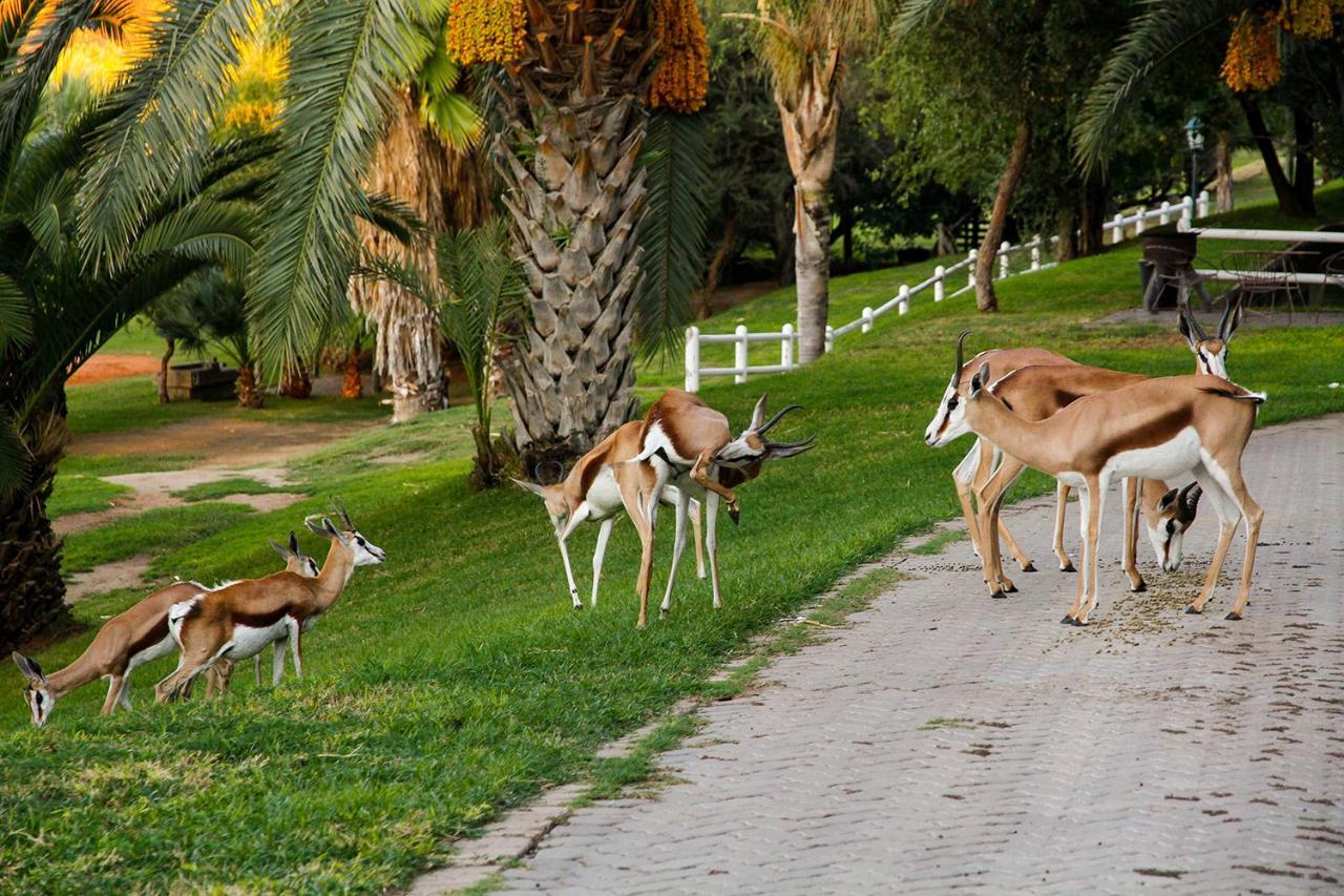 Ikaia River Lodge Keimoes Bagian luar foto